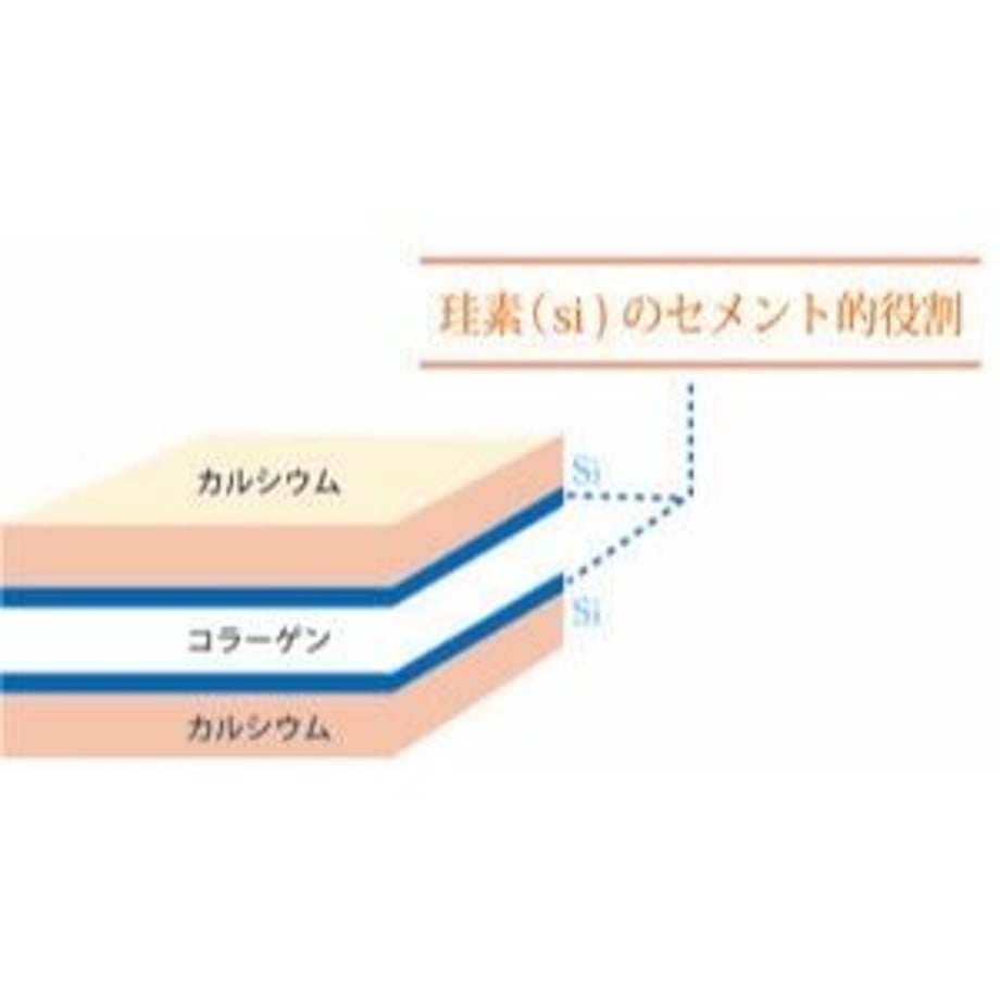 5d19c04b2f8f1653c4bee426