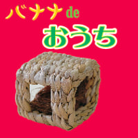 バナナ de おうち