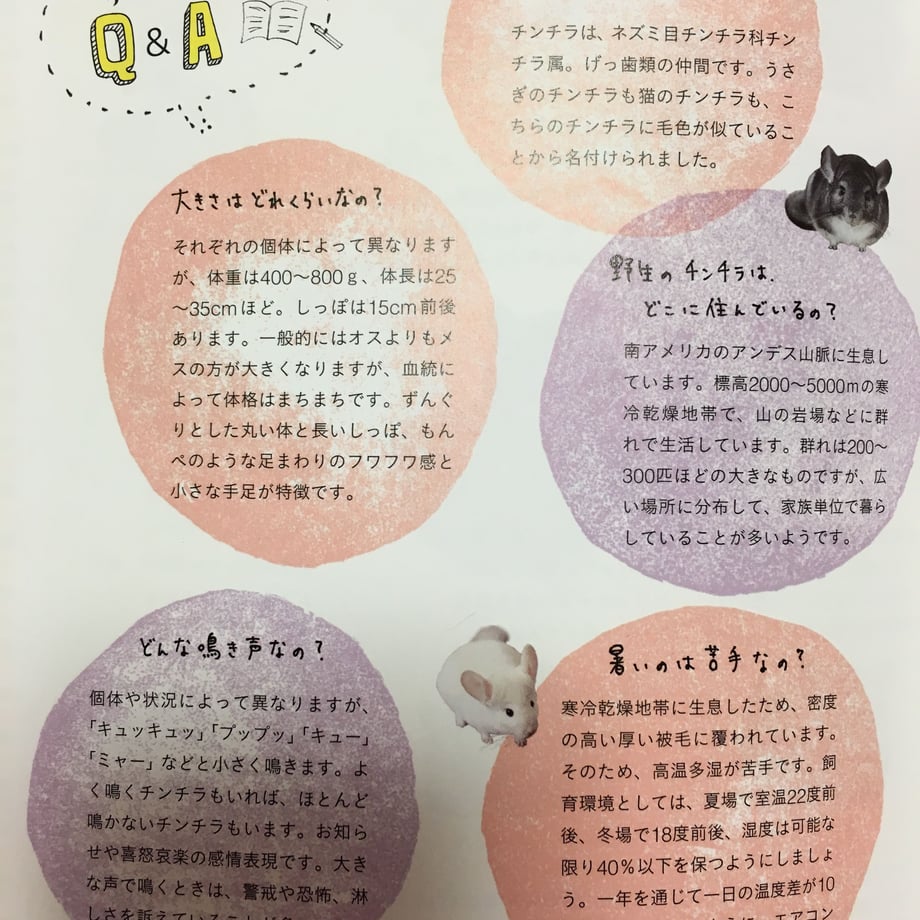 5f8918e56e8b2b72b7328f12
