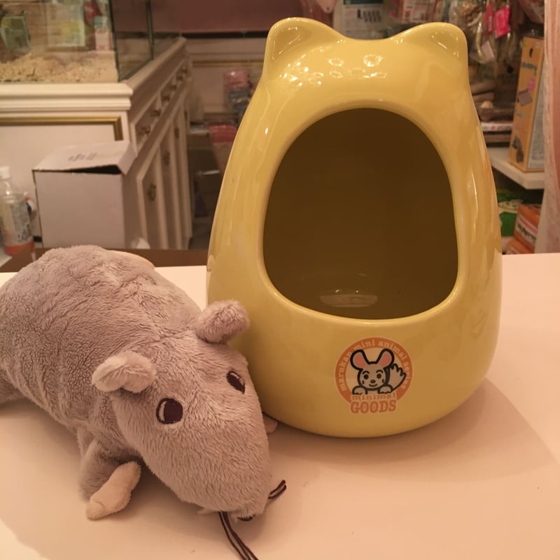 チンチラ ハウス 小動物 お菓子の家 えんとつハウス ロイヤルチンチラ 613HE2Ini2L._AC_SY200_QL15_.jpg