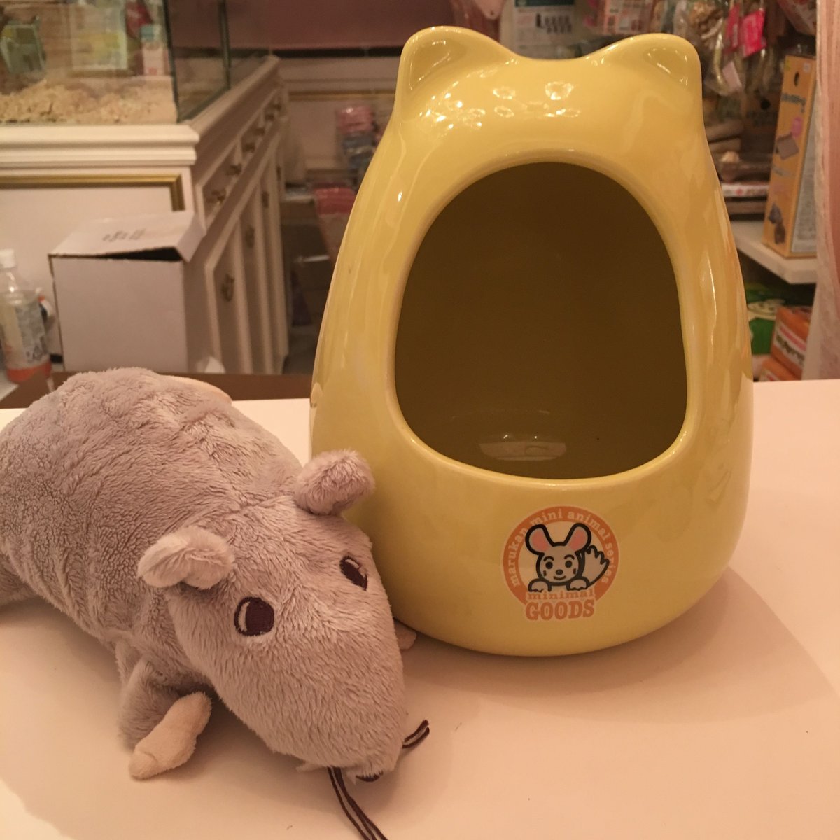 インテリア☆チンチラネズミと鳥さん☆パンケーキ