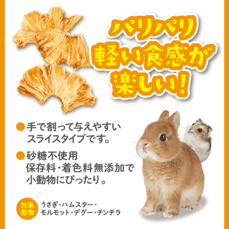 【チラマ2026】＜限定取扱＆限定価格＞GEX パリパリパイン 20g