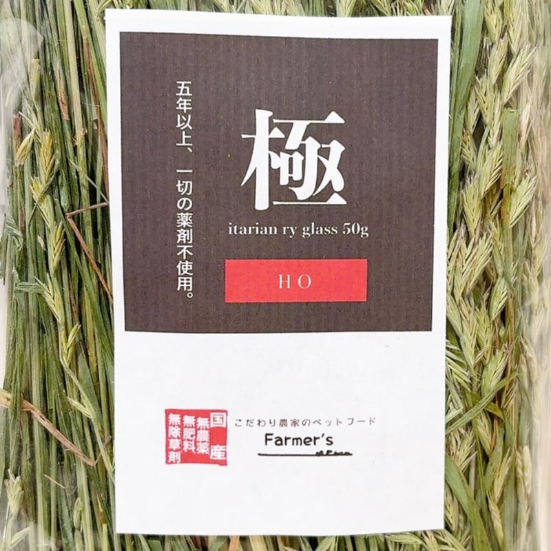 極（イタリアンライグラス） 〜穂〜 | Royal Chinchilla Online Shop