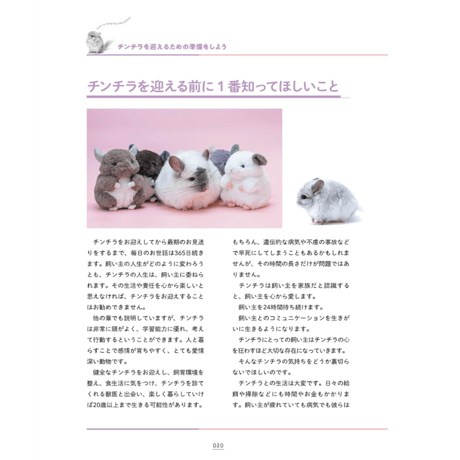 《鈴木オーナー執筆監修》『チンチラの教科書』（佐藤祐吾さんサイン本）