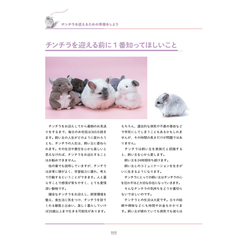鈴木オーナー執筆監修/シュタールが表紙！】『チンチラの教科書
