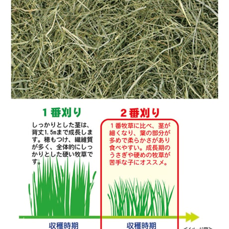 サンコー　北海道ソフトチモシー 600g