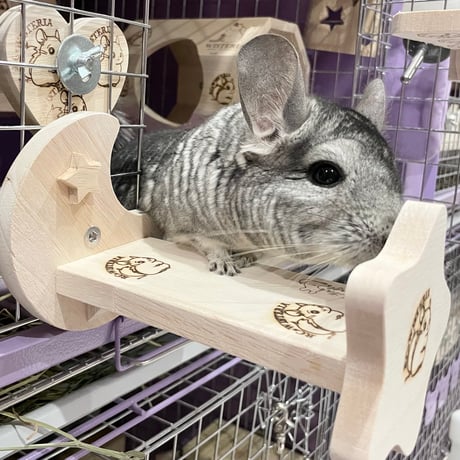 Royal Chinchilla Online Shop Royal Chinchilla Online Shop