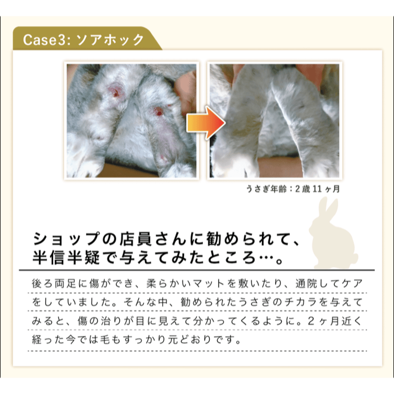 高濃度機能性食品 】うさぎのチカラ（120錠） | Royal Chinchilla Onl