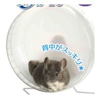 サンコー　サイレントホイールフラット４０