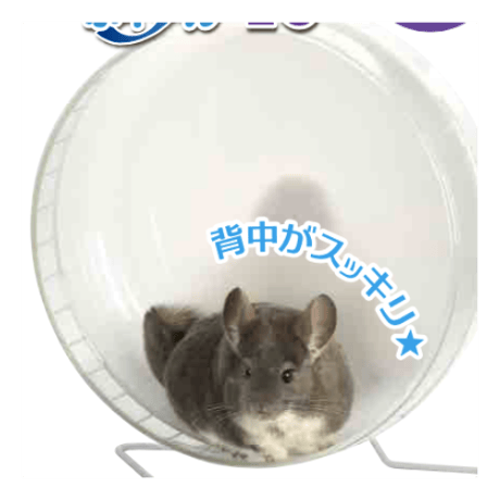 CATEGORY ホイール類 | Royal Chinchilla Online Shop