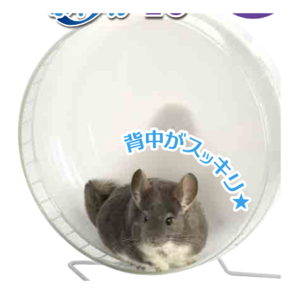 サンコー サイレントホイールフラット40 | Royal Chinchilla Online