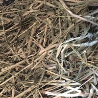 【RCオリジナル牧草/同梱不可/別配送/1個1個口】《北海道・九州》ロイヤルチモシー4kg（6,900円＋送料1,000円）＜別配送のため他商品と同時注文不可商品です＞