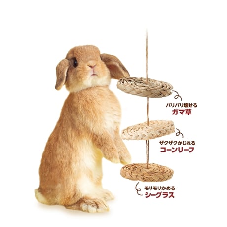 バラエティディスク