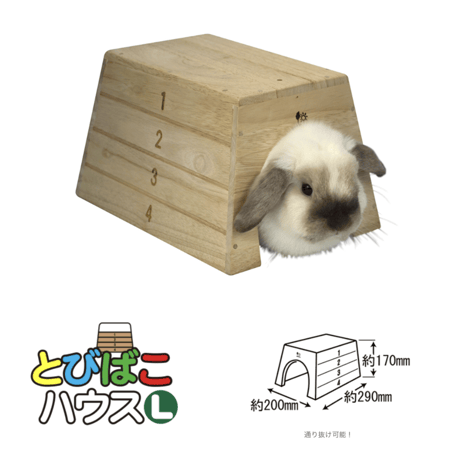 サンコー　とびばこハウス（L）✳︎