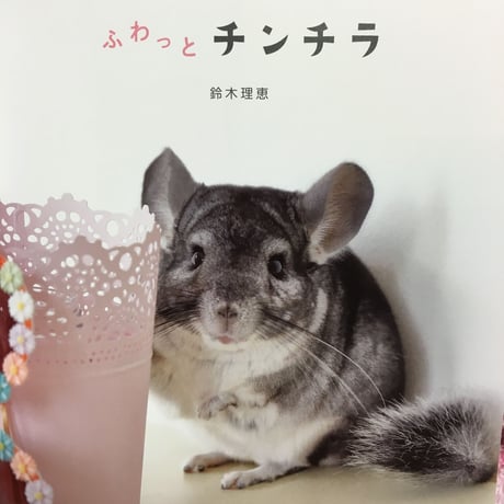 【若き春馬のデビュー作/チンチラ写真集】『ふわっとチンチラ』