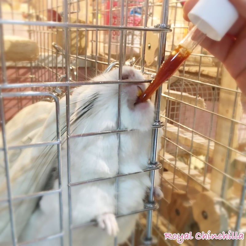 アニマストラス』液体 100ml | Royal Chinchilla Online Shop