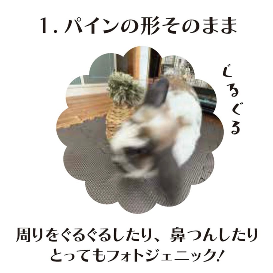 68fb2258243a75b6d620b3c2