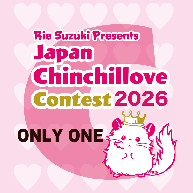 ちょきりんページ チラマ2026】『Japan Chinchillove Contest 2026（チラコン2