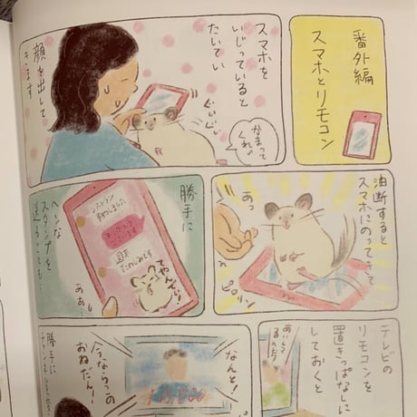 【老若男女問わず読める新しいカタチの飼育書】『チンチラ、飼いはじめました！』