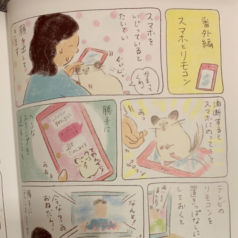 5f8917d13313d27390504e0f