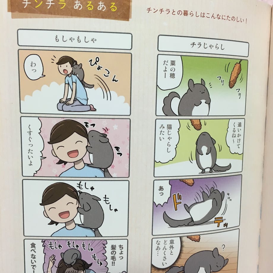 5f8918e56e8b2b72b7328f12