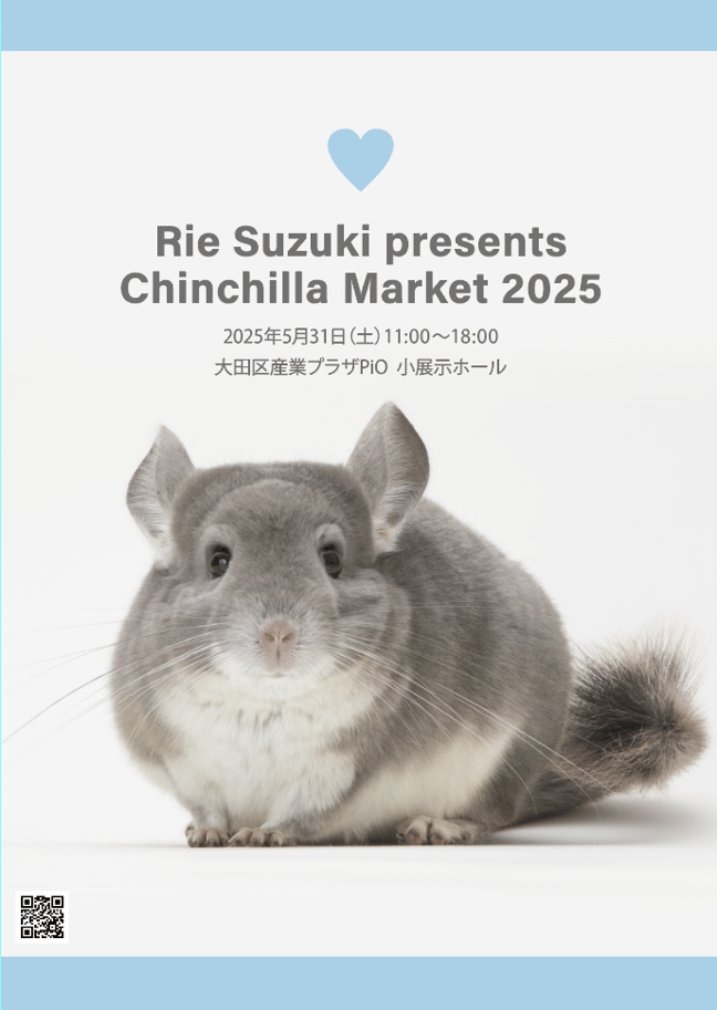 チンチラ◆◆デンマーク産コペンハーゲン社 チンチラ○デンマーク産コペンハーゲン社