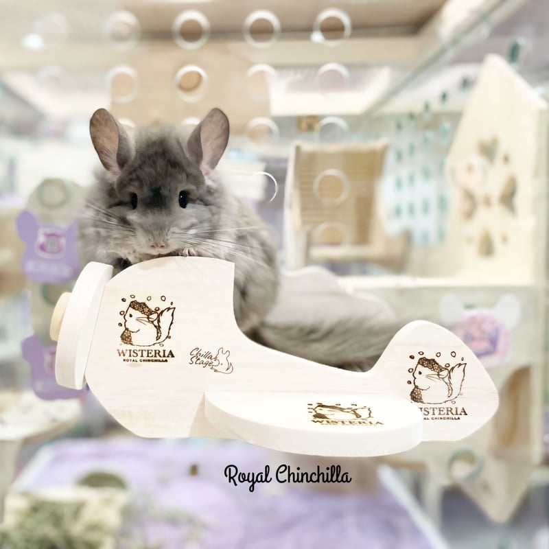 Chilla Stage》お出かけ飛行機⭐︎ | Royal Chinchilla Onli