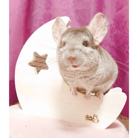 《RC》✖️《Chilla Stage》『月のお船で星に願いを』
