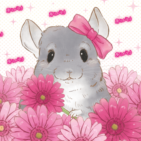 ロイヤルチンチラ 吸水マット 6枚セット Royal Chinchilla Online Shop