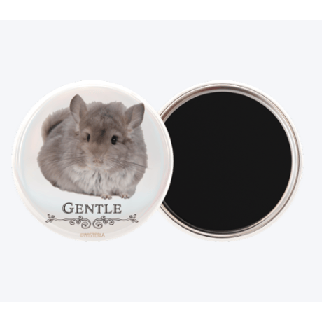 【倉庫一掃セール】【RC WISTERIA 3rd Anniversary】《アイドル》マグネット 57mm ⚫︎