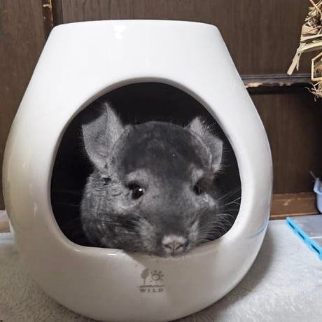 《大人気！砂あびツボ！》サンコー　ポットハウス（L）