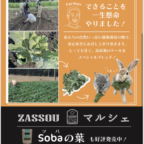〈ZASSOU マルシェ〉「快腸！Kale(ケール)の葉」50g