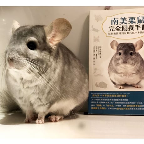 【台湾版】『チンチラ完全飼育』