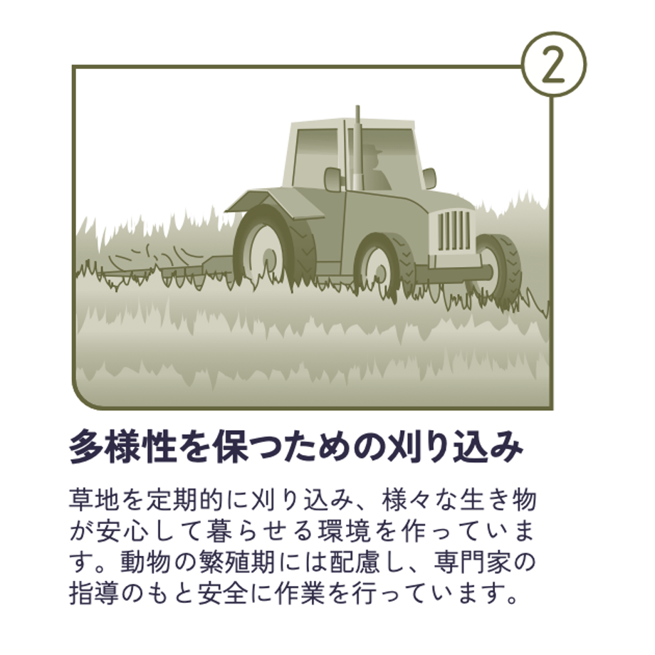 681f7815db24c4ab5eac15a2