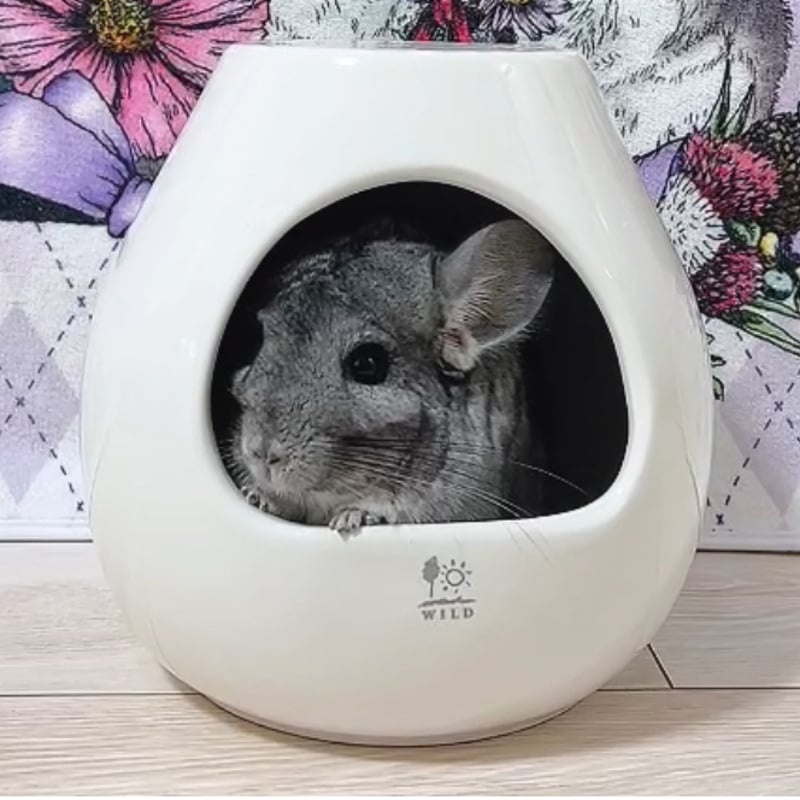 大人気!砂あびツボ!》サンコー ポットハウス(L) | Royal 大人気!砂あびツボ!》サンコー ポットハウス(L) | Royal