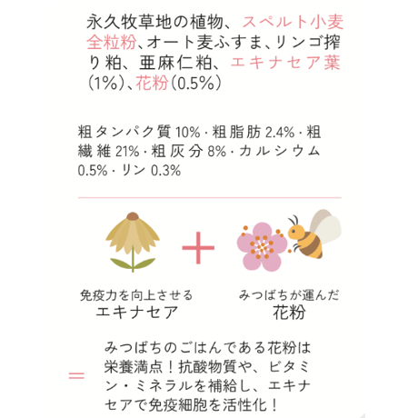 bunny ケアクラッカー＜免疫＞