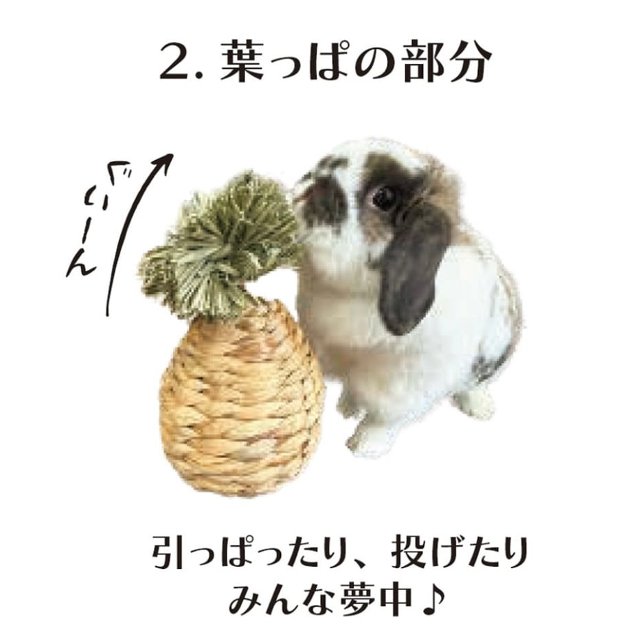 68fb2258243a75b6d620b3c2