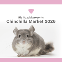 Royal Chinchilla Online Shop