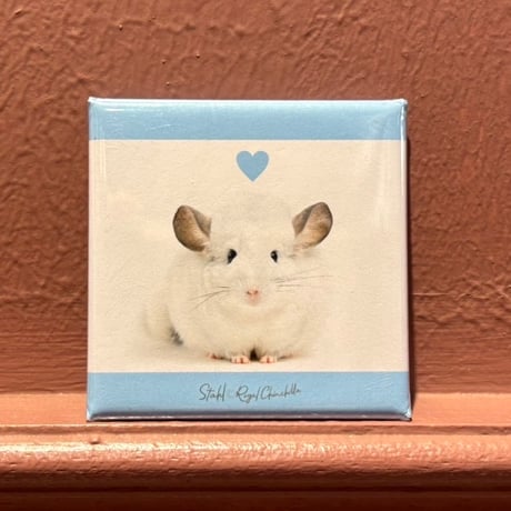 ロイヤルチンチラ 吸水マット 6枚セット CATEGORY おしっこを吸収して足裏を守る「ケージマット」系