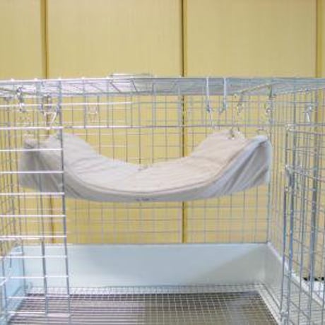 CATEGORY 雲の上の眠りを約束する「ハンモック」系 | Royal Chinchilla