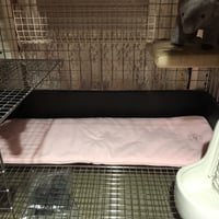 《さらふわ》New!ケージマット80＜Slim＞☆