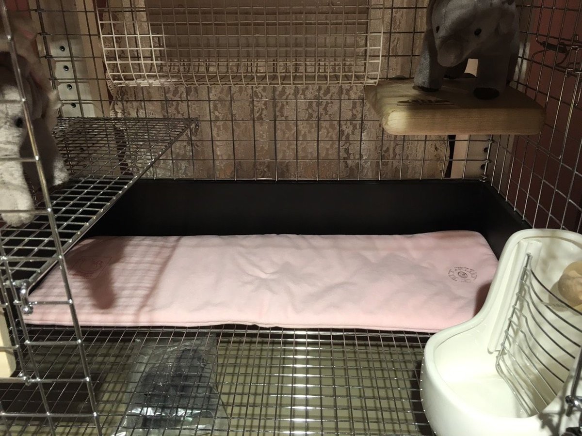 fit=scale-down,w=1200