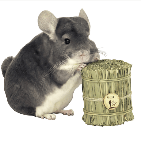 ITEM | Royal Chinchilla Online Shop