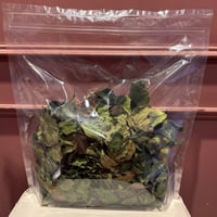 【数量限定】いちごの葉 /　100g