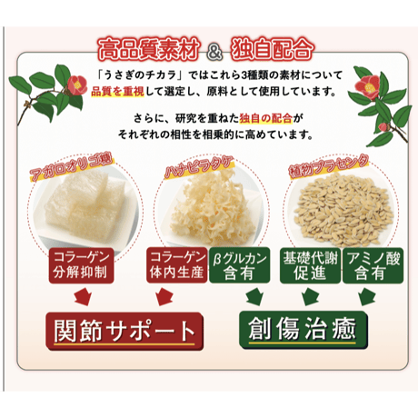 【高濃度機能性食品 】うさぎのチカラ（120錠）