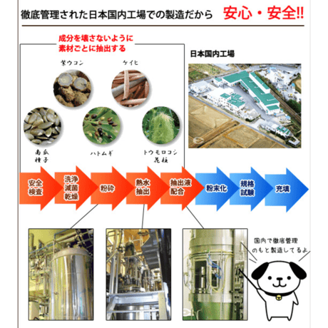 ヘルスチャージ-I(アイ)  抵抗力・免疫力強化サプリ パウダータイプ 15g