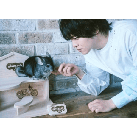 《タレント初!? チンチラとコラボ写真集》『佐藤祐吾 1st 写真集 もふ。』