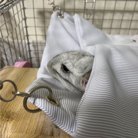 CATEGORY 雲の上の眠りを約束する「ハンモック」系 | Royal Chinchilla