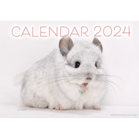 【RCオリジナル】2024年ロイヤルチンチラカレンダー（2022年2023年カレンダー付）