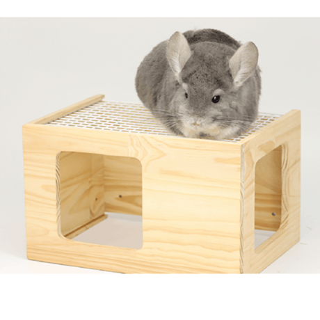 CATEGORY ケージ関連 | Royal Chinchilla Online Shop